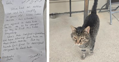 'Bought a farm, inherited a surprise cat': Old farmhouse comes with unexpected note and a 10-year-old outdoor "hunter" cat 
