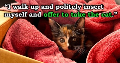 '[I'm] gonna get rid of it one way or another': Woman overhears rural man trying to pawn kitten off, steps in, follows him home for 30 minutes, scared but wanting to save the cat, only for his wife to hand her the most adorable kitten 