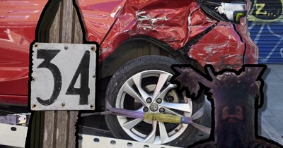 Neighbor demands 19-year-old pay her for damage to her vehicle after backing onto her lawn and over her garden stakes—when the local authority makes her remove them, she plants a shrubbery instead