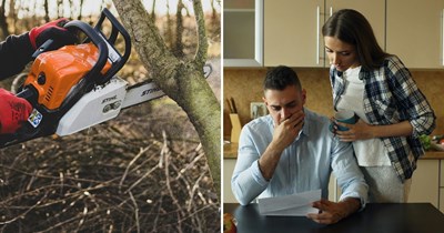 Ohio neighbor throws a tantrum over homeowner's tree branches crossing the fence, complains and cuts them off, then reveals he's been trimming them himself for 20 years: ‘He never reached out’