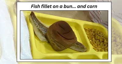 ‘I’ll bring my own lunch, thanks…': 21 School Lunch Fails to Welcome You Back to the Cafeteria Chaos