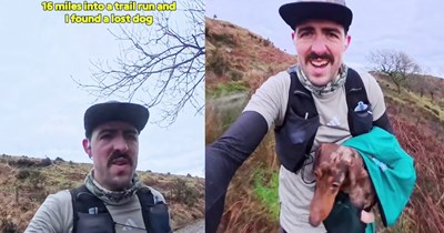 Lost dachshund discovered hiding from cold by runner in British countryside who carried the pup for miles until they met a farmer who knew just how to help the dog get home to his worried family