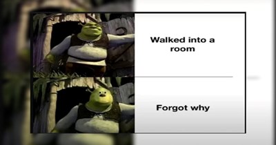 “The ogre in me that desperately wants to come out”: Shrek memes to prepare ourselves for Shrek 5