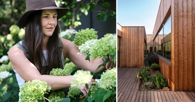 Employee refuses to share the first harvest with coworkers after 3 years of doing the workplace gardening without their help: ‘We get the first dibs’