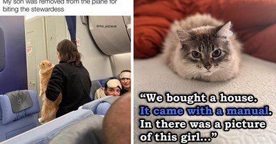 Your Weekly Meowgazine: 20 ICanHasMoments to Make Your Caturday Feel Like a Cozy Fall Day (September 5, 2026)