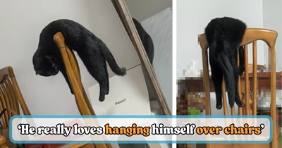 'I have never seen a cat do that before': Black cat owner shares his feline's hilarious habit of folding over furniture that makes every cat pawrent giggle