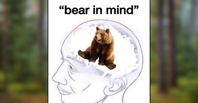 21 Woodland Bears Wandering Through Their Whimsical Little Lives