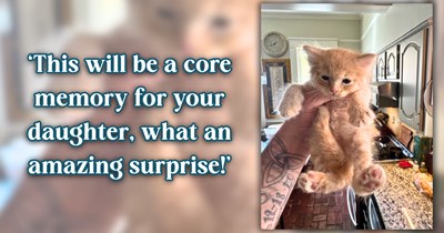 Dad spots a kitten dodging traffic at his daughter's kindergarten drop-off, scoops him up before anything happens, and already knows how the story ends: 'I'm gonna let [my daughter] name him when she gets home today!'