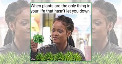‘Talk chlorophyll to me’: 23 Nerdy Plant Memes for Gardening Geeks With Dirt Under Their Nails