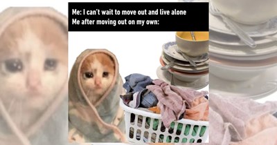 'It's a recipe for disaster': Memes for young adults moving out alone and trying to figure out how to survive