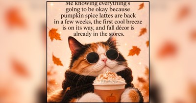 PSL Season Is Back: Purrs, Snuggles and Lattes to Fall Into the Coziest Season of the Year