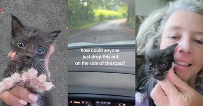 'You saved her, you're mama now': Tiny kitten found on a backcountry road gets rescued by elderly woman, then convinces her that their quiet life needed one more heartbeat to feel fulfilled