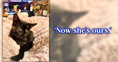 A half-pound tortie kitten picks the family car as her shelter right before a hailstorm, and manages to win over the one parent who wasn't ready for another cat: 'I didn't want a cat... but here we are.'