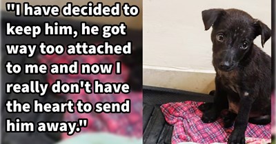 Tiny puppy pulled from monsoon rains after dog lover spotted it shivering on street struggling to survive, becomes foster fail statistic as new pawrent promptly falls in love: ‘I really fell in love with this little angel I guess we rescued each other.’
