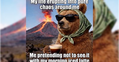 27 Funny Fluffy Memes to Kick Off Your Workday When You’re Bearly Awake