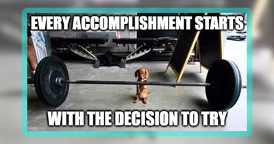 Pupper Pile of 24 Memes to Puplift the Mood of Dog People