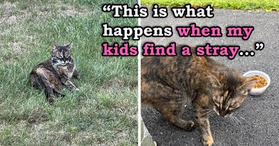 Abandoned kitten approaches mother and kids at a bus stop, the kids instantly fall in love with her and convince mom to adopt her, and the 10-year-old is so inspired she decides to become a vet 