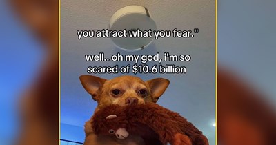 24 Heartwarming Animal Memes to Cozy Up With While the Leaves Fall Outside