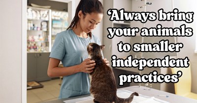 Senior cat's new vet recommends $12k operation for a sprained leg, then a second opinion from the family vet sparks questions about corporate vet care: 'It's a money making machine'