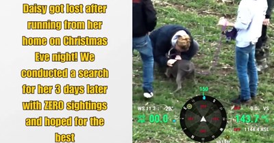 Dramatic doggo rescue operation carried out by pupper pawrent and drone pilot successfully reunites lost dog with family 3 days after her Xmas Eve escape: ‘Using thermal drone technology, they found Daisy in an area impossible to cover on foot.’