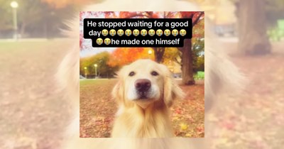'I can't control it, so I shouldn't worry': 22 Hopecore Memes to Kick Off The Workweek With a Pure Heart