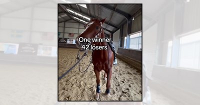 'I Am Speed': 25 Horse Memes for Horse Racing Fans Who Appreciate a Little Horsing Around