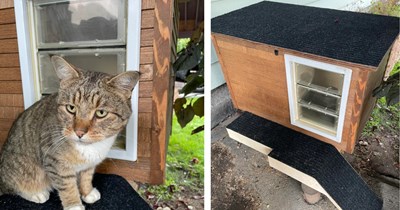 Carpenter builds stray kitty her own personal cat home from scratch, she loves it and moves in