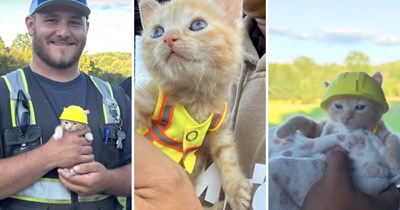 Construction crew rescues tiny kitten from an excavator on their site, one member adopts the cute cat and welcomes her to the team: 'Meet Komatsu'