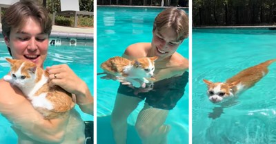 Orange kitten's brave first swim surprises everyone as he leaves the safety of his human's arms and starts paddling through the pool