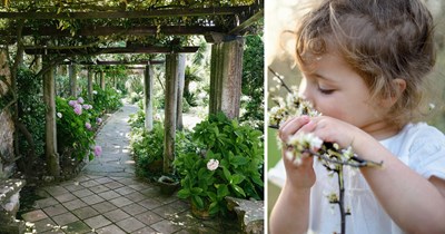 Homeowner finds strangers trespassing in the elaborate yard his wife spent years gardening after mistaking it for a public park: 'I notice a baby sitting in the flower bed’