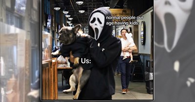 'Good boys get good memes': 21 Dog Memes to Fill Your Morning Cup with Puppy Pawsitivity (September 10, 2026)