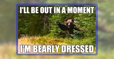 27 Unbearably Adorable Bear Memes to Give Your Day a Big Bear Hug