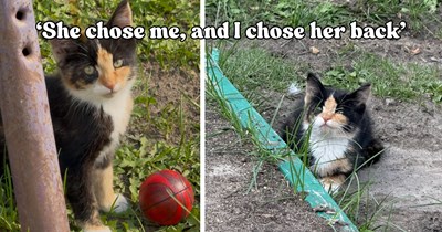 Calico stray turns up in a backyard looking for a place to sleep and ends up finding the hooman who chooses her right back