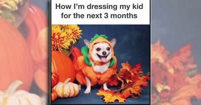‘You’re doing the best you can mom and dad!': A family gathering of parenting laughs for witty mothers and fathers (September, 12, 2026)