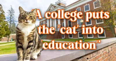 Meet Purrfessor Max: the campus cat who's spent years greeting students, riding backpacks, and joining college tours, has earned him an honorary 'doctor of litter-ature' title