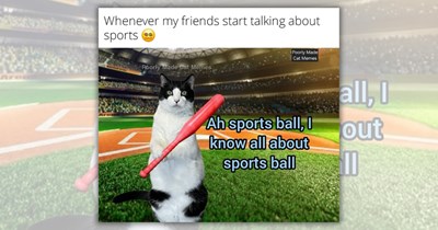 A Home Run of Feline Funnies to Help Sports Fans Laugh Through Life’s Curveballs