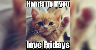 A Setting Sun of Pet Memes Purrfect For Weekend Relaxation Scrolls