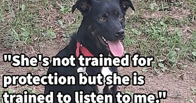 You won’t believe what this German Shepherd did when she and her pregnant pawrent were being intimidated by a foolish woman, suffice it to say that this pawrent has one heck of protective pupper guardian