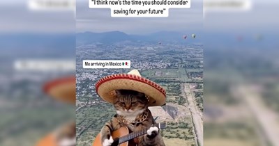 Getting accustomed back into normal life can be hard: 22 vacation memes for the recently traveled people