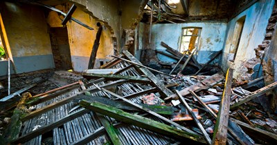 Renter argues with landlord due to the state of the apartment, landlord says to take it to the city, the renter complies, and they go in her favor: 'All I needed was the peeling paint fixed now I'm going to enjoy living in a unit that is up to code'