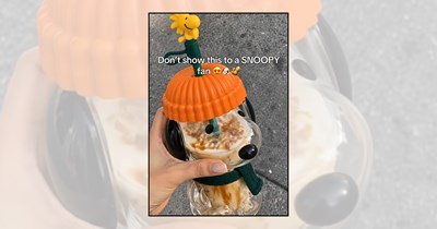 'Don't worry, twin, you'll get the Snoopy Glass Cup': Starbucks drops the cutest fall collectible everyone suddenly needs