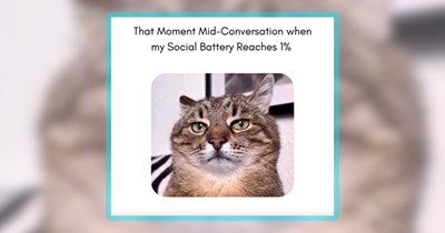 30 Feline Funnies for Purrtroverts Who Just Want to Cuddle Their Cat All Weekend
