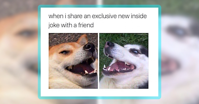 26 Pupper Pawsts to Pamper Your Day With Dog Humor