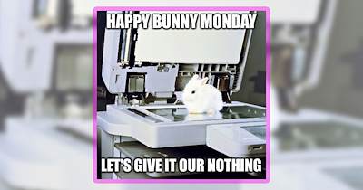 23 Bunny Funnies for Your Daily Pawtivation Boost