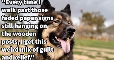 ‘Whenever I remember that dog sitting in the freezing mud crying, I don't regret doing it.’: Dog lover confesses to stealing neighbor’s neglected dog and delivering to shelter to spare it from its sadness after animal control and pawrent refused to help