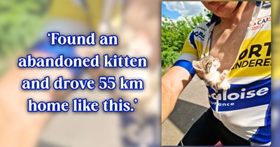 'I didn't think I'd come home with a kitten': Man on a cross-country bike ride refuses to leave abandoned kitten behind in a village, rides two hours with him tucked in his shirt