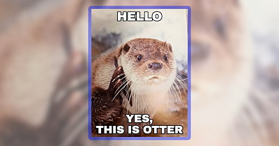 21 Otterly Adorable Otter Memes to Hold Onto Your Heart Like They Hold Hands