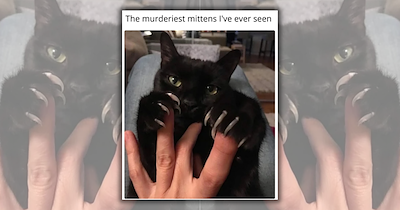 ‘Enter If You Purr’: 22 Spooky Black Cat Memes to Get You to Purrfectly Set the Mood for the Season