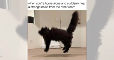 24 black cat memes ready to prove that fluffy cuteness can come in witchy kitten mode