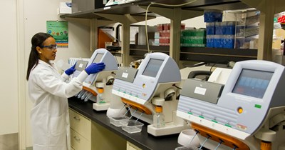Lab company eliminates holiday pay, gets annoyed when only 3 employees cover the holiday: 'They eliminated the only reason people were willing to sacrifice their holidays'